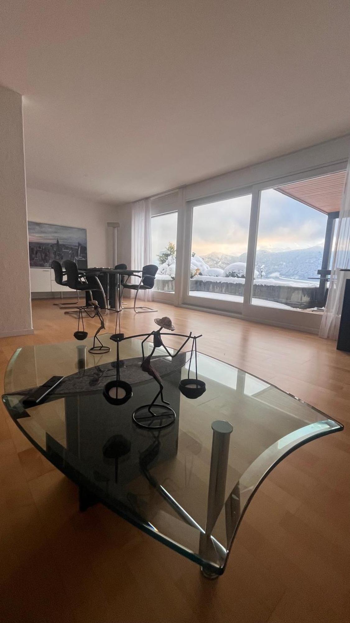 Swiss Paradise Apartment